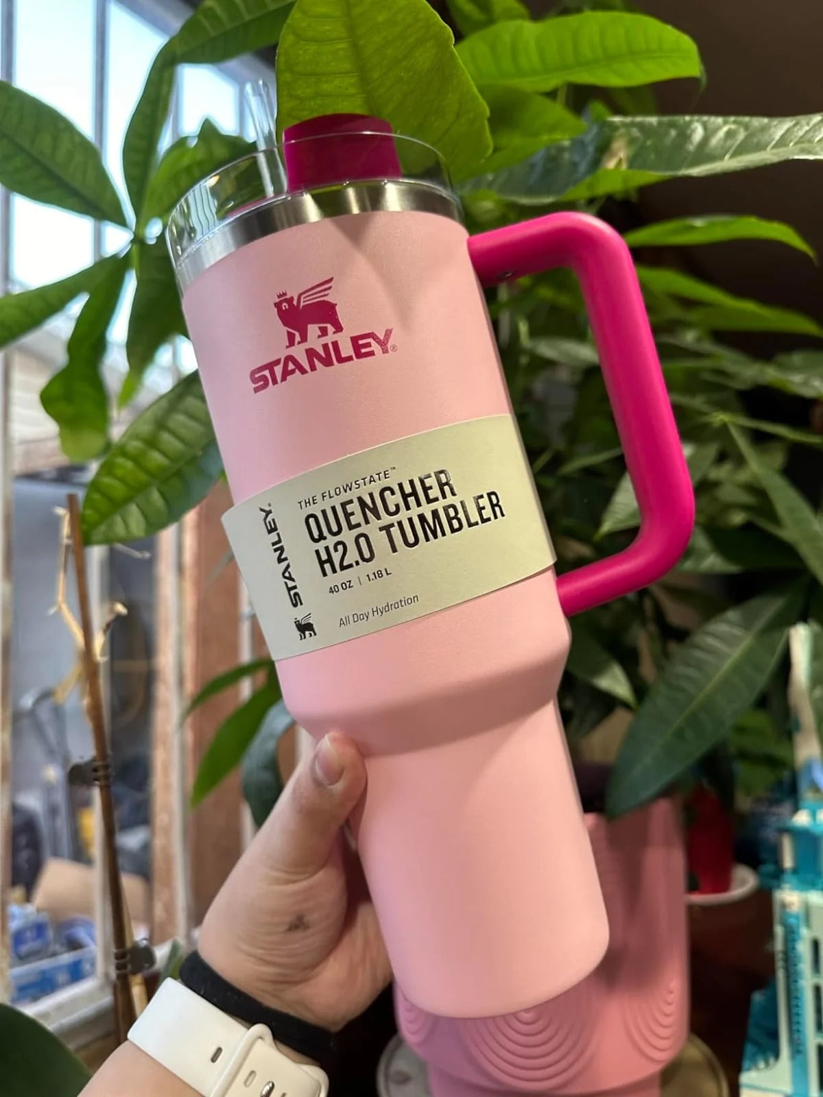 Insulated Stainless Steel Tumbler