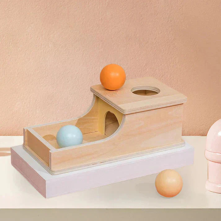 New Wooden Montessori Teaching Aids Sensory Training Target Box Toys UAE