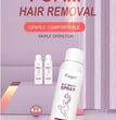 Silky Beauty Hair Spray GIBBS